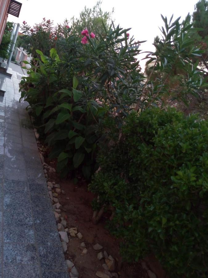 Maslina Apartment Vir Exterior photo